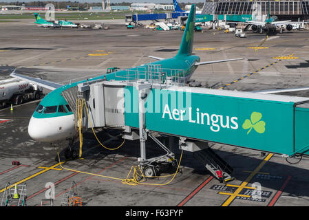 Aer Lingus Airbus A320-214 EI-DEN à l'enregistrement à l'aéroport de Dublin Banque D'Images
