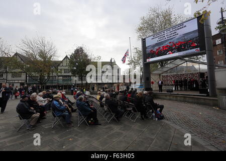 Swansea, Royaume-Uni. Le mercredi 11 novembre 2015 une foule rassemblée des centaines de personnes se sont réunies pour l'Armistice et a observé deux minutes de silence à Castle Square Gardens à Swansea, Pays de Galles du sud. Credit : D Legakis/Alamy Live News Banque D'Images