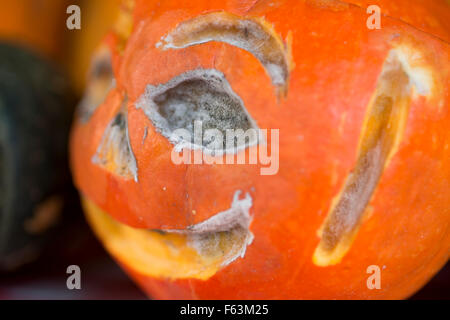 Le champignon de la citrouille haloween dans jardin Banque D'Images