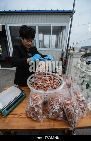 (151111) -- ZHOUSHAN, 11 novembre 2015 (Xinhua) -- Wang Zhifen packs pour les fruits de mer de ses clients avant la boutique en ligne des célibataires' Journée de Shopping Spree, à Urumqi, la Chine de l'est la province de Zhejiang. 53-year-old Wang Zhifen était une pêcheuse et elle ouvre sa boutique en ligne des fruits de mer l'année dernière et est devenu le premier e-commerce fishman dans le village. China's e-commerce Alibaba géant avait enregistré des ventes de 10 milliards de yuans (1,57 milliards de dollars US) en moins de 12 minutes et 28 secondes de minuit, smashing records cette année encore sur des célibataires' journée mercredi, la Chine est en ligne l'achat fiesta apparentée à America's Cyber Mond Banque D'Images