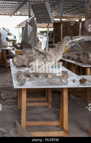 Cast d'un corps de la victime à l'une des installations de recherche archéologique dans l'ancienne ville romaine de Pompéi, Italie Banque D'Images