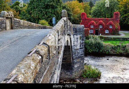 Pont Fawr, célèbre pont de pierre médiéval de l'autre côté de la rivière Conwy, et cour couverte de lierre rouge du Nord, Caernarfon, Llanrwst Banque D'Images