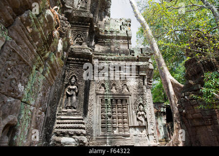 Locaux du Temple Ta Prohm à Siem Reap Banque D'Images