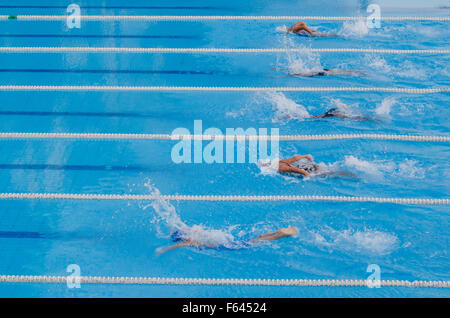 Compétition de natation,le début aller Banque D'Images