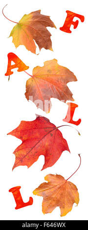 Les feuilles d'automne avec le mot automne en texte texturé qui coule avec les feuilles Banque D'Images