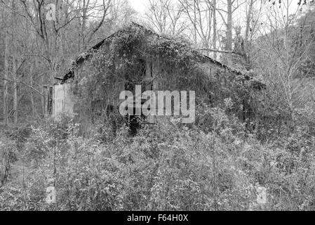 Grange à l'abandon envahi par près de Nashville Tennessee Banque D'Images