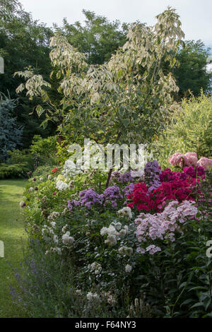 Frontière avec fleurs vivaces d'été. En août. Banque D'Images