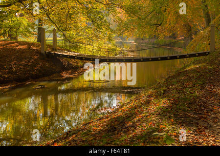 Vue du pont suspendu à l'automne à Elswout splendeur, un parc paysager dans Overveen, Hollande du Nord, aux Pays-Bas. Banque D'Images