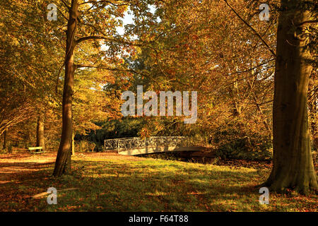 Banc et vue sur le pont à l'automne la splendeur, dans le parc du château de Duivenvoorde, Voorschoten, Hollande méridionale, Pays-Bas. Banque D'Images