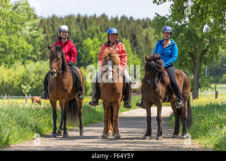 Cheval islandais. Trois jeunes femmes à cheval sur un chemin de terre. L'Autriche Banque D'Images