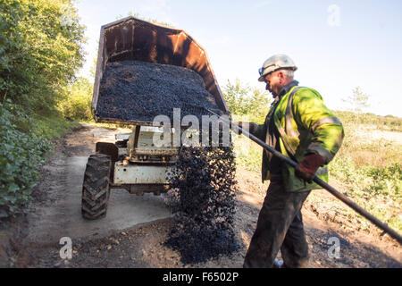 Un ouvrier se jette l'asphalte chaud sur une route à partir de l'arrière d'un petit dump truck Banque D'Images