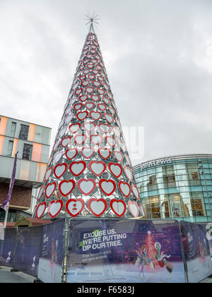 L'arbre de Noël le plus grand du Royaume-Uni en cours de construction au centre commercial Liverpool One à Liverpool. Banque D'Images