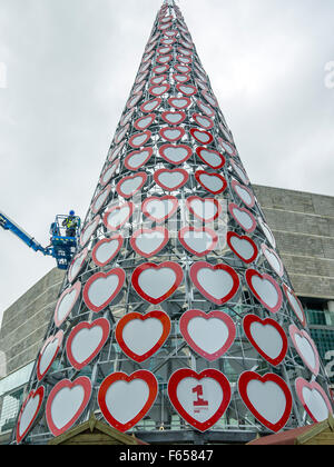 L'arbre de Noël le plus grand du Royaume-Uni en cours de construction au centre commercial Liverpool One à Liverpool. Banque D'Images