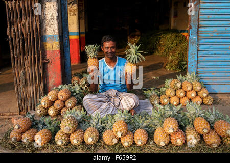 Dhaka, Bangladesh. 12Th Nov, 2015. Nov 12, 2015 - Dhaka, Bangladesh - vendeur de rue d'ananas. © Mohammad Ponir Hossain/ZUMA/Alamy Fil Live News Banque D'Images