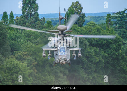 AgustaWestland Apache est un construit sous licence version du AH-64D Longbow Apache Hélicoptère d'attaque de l'armée britannique. Vers le bas dans les arbres. Tank killer Banque D'Images