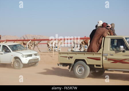 Course de chameaux dans le Wadi Rum, Jordanie Banque D'Images