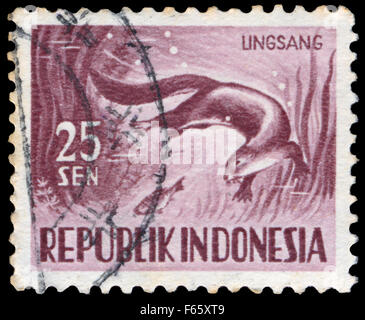 Indonésie - circa 1956 : timbres en Indonésie, spectacles, animaux série Cerdocyon perspicillata, vers 1956 Banque D'Images