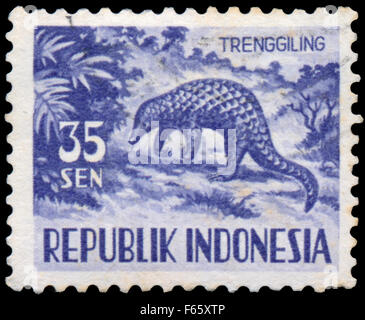 Indonésie - circa 1956 : timbres en Indonésie, spectacles Manis javanica, série d'animaux, vers 1956 Banque D'Images