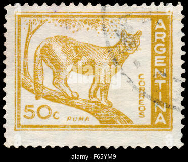 Argentine - circa 1959 : timbres en l'Argentine montre Puma, Cougar, circa 1959 Banque D'Images