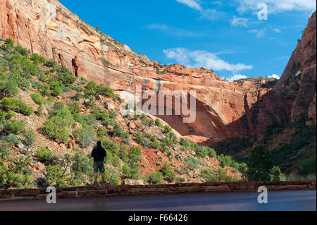 L'homme regardant la Grande Arche de Sion, le long de la route de Zion-Mt Carmel, Utah, USA. Banque D'Images