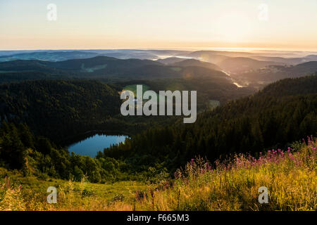 Voir l'Est en direction de Feldsee Feldberg, Forêt Noire, Bade-Wurtemberg, Allemagne Banque D'Images