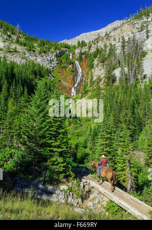 Horse Rider cascade ci-dessous sur le sentier du ruisseau au siège de transmettre l'avant près de Rocky Mountain, montana choteau Banque D'Images