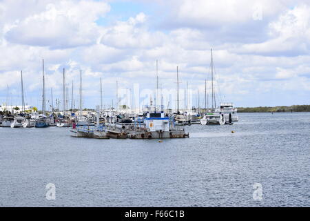 Disponibles à la Marina Bundaberg, Bundaberg, Queensland, Australie Banque D'Images