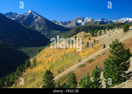 couleurs d'automne sous les sommets espagnols de la gamme madison dans la nature sauvage lee metcalf près de gallatin gateway, montana Banque D'Images