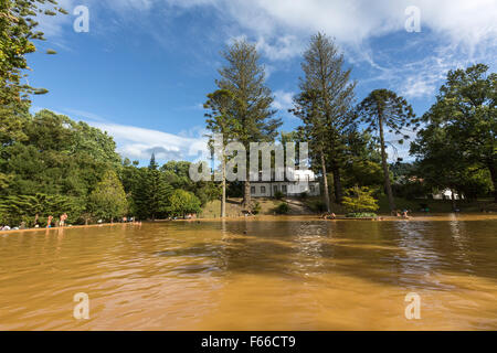 Les gens se baigner dans la piscine thermale de Terra Nostra Garden. Parque Terra Nostra. Furnas. Sao Miguel Banque D'Images