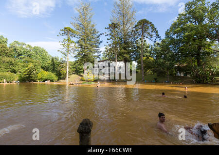 Les gens se baigner dans la piscine thermale de Terra Nostra Garden. Parque Terra Nostra. Furnas. Sao Miguel Banque D'Images