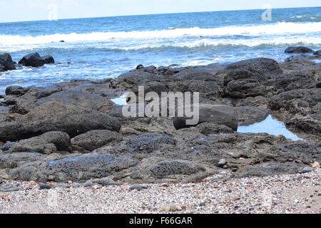 Vagues se brisant sur des rochers à la plage, Bundaberg, Queensland, Australie Banque D'Images