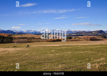 Paysage paysage Wanaka, île du Sud, Nouvelle-Zélande Banque D'Images