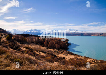 Lac Pukaki avec Mt Cook National Park dans l'arrière-plan, District de MacKenzie, Canterbury, île du Sud, Nouvelle-Zélande. Banque D'Images