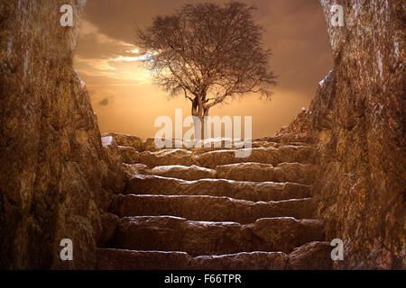 Hiver arbre au coucher du soleil avec à l'étage Banque D'Images