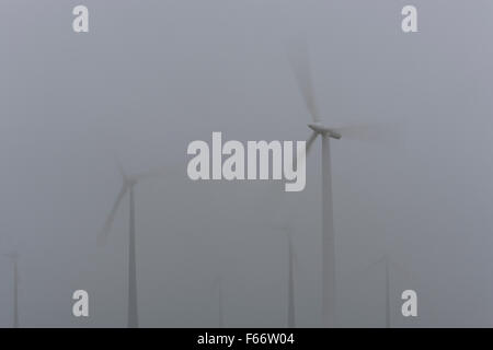 Éoliennes au brouillard, le Mecklembourg-Poméranie occidentale, Allemagne Banque D'Images