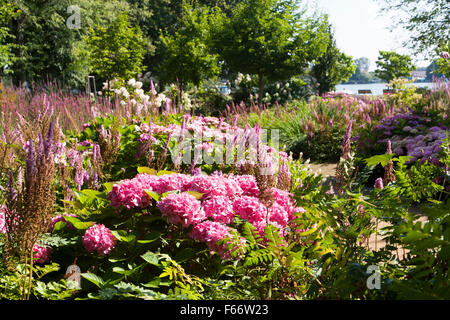 Kurpark, feldberger seenlandschaft, Feldberg, plaque de lac mecklembourgeoise district, mecklenburg-vorpommern, Allemagne Banque D'Images