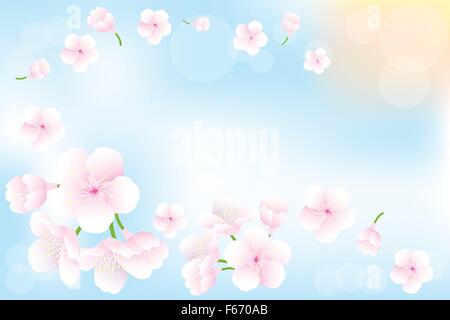Fleurs de cerisier de vol au printemps - contexte saisonnier avec place pour le texte Illustration de Vecteur