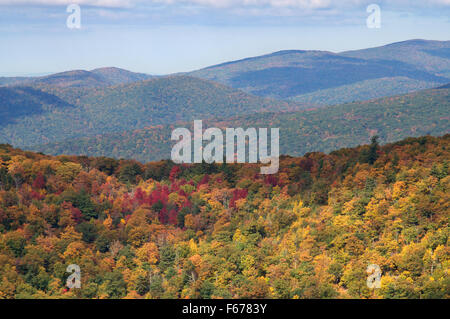 Les arbres à feuillage de l'automne Skyline Drive, Shenandoah National Park, Virginia, USA Banque D'Images