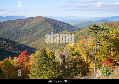 Les couleurs des feuilles d'automne Skyline Drive, Shenandoah National Park, Virginia, USA Banque D'Images
