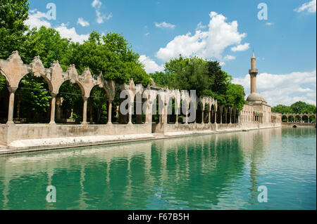 La piscine d'Abraham avec carpes sacrées à Sanliurfa, en Turquie. Banque D'Images