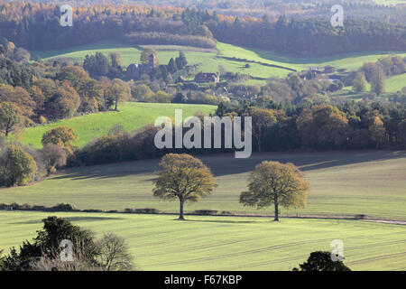 Newlands Corner, Surrey, Angleterre, Royaume-Uni. 13 novembre 2015. La vue de Newlands corner vers le village d'Albury est une photo de belles couleurs d'automne, sur une journée venteuse d'ensoleillement et d'une douche dans le Surrey Hills, près de Dorking. Credit : Julia Gavin UK/Alamy Live News Banque D'Images