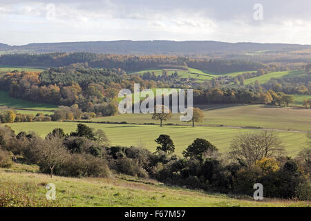 Newlands Corner, Surrey, Angleterre, Royaume-Uni. 13 novembre 2015. La vue de Newlands corner vers le village d'Albury est une photo de belles couleurs d'automne, sur une journée venteuse d'ensoleillement et d'une douche dans le Surrey Hills, près de Dorking. Credit : Julia Gavin UK/Alamy Live News Banque D'Images
