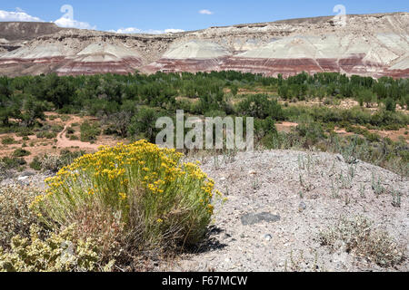 Des formations de roche de couleur sur l'Utah State Route 24, à l'est de Capitol Reef, Utah, USA Banque D'Images