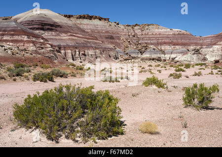 Des formations de roche de couleur sur l'Utah State Route 24, Hanksville, Utah, USA Banque D'Images