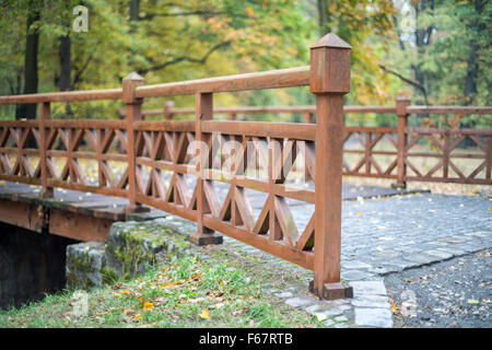 Sol en bois passerelle au-dessus de l'étang en automne entourant le Parc Szczytnicki Wroclaw Banque D'Images