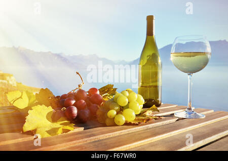 Le vin et les raisins en Lavaux, Suisse Banque D'Images