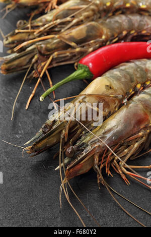 Crevettes géantes non pelées brut avec red chili sur un arrière-plan en ardoise noire. Banque D'Images