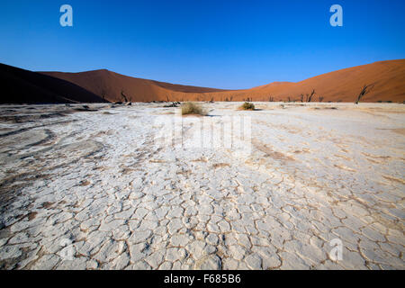 Le sel et l'argile pan au Deadvlei, Namibie, Afrique Banque D'Images