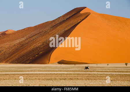 Dunes de sable de Sossusvlei, Naukluft National Park, Namibie, Afrique Banque D'Images