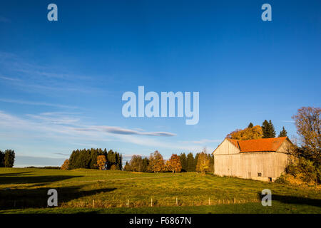 Une hutte et ferme avec Ciel bleu près de Steingaden, Allemagne - Wieskirche Banque D'Images